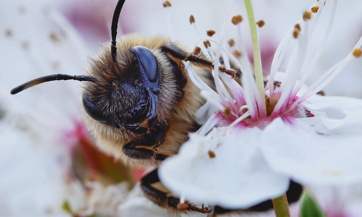 Article Sidebar Image