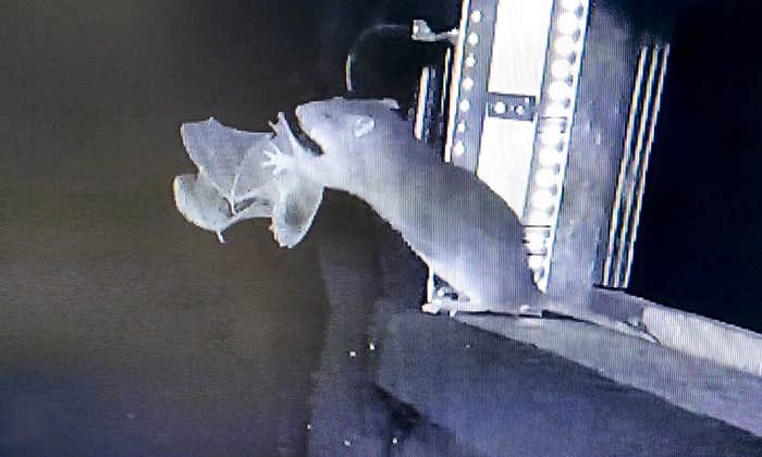 Article Recirculation Lead Image