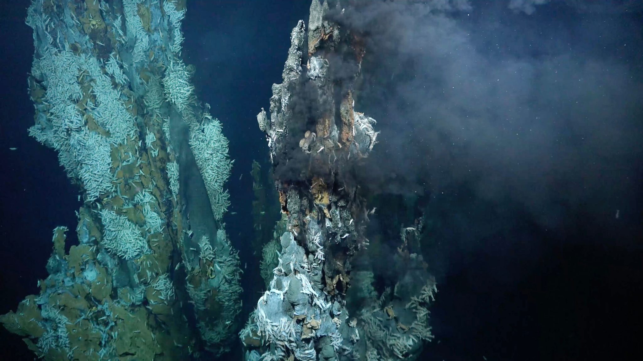 Scientists Discover Three New Hydrothermal Vent Fields On Mid Atlantic   Fkt230303 PuyDesFolles BirthdayVent 2048x1152 1 