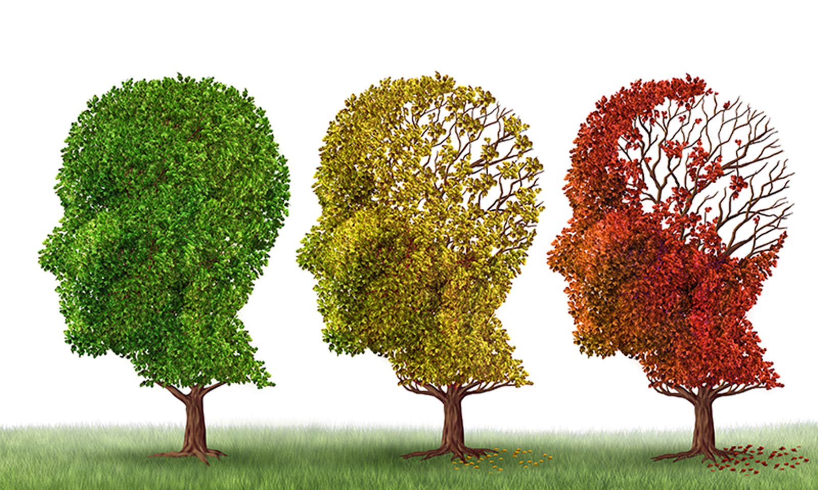 A set of three trees shaped like brains, fading from green to yellow to red, losing leaves along the way.