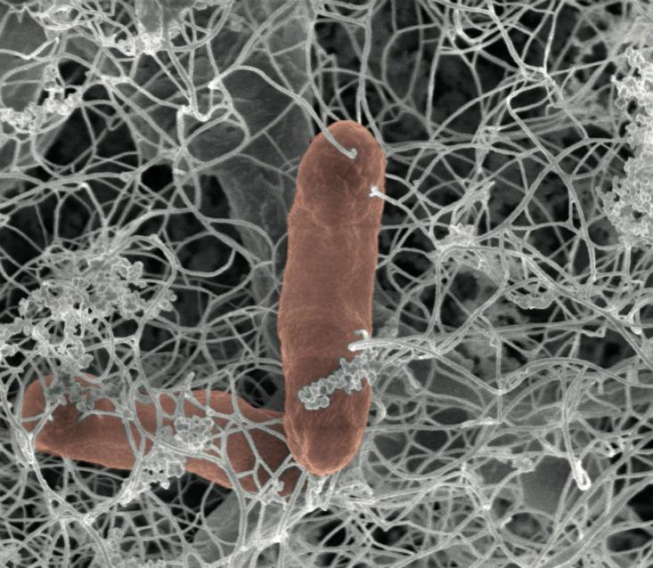 Article Recirculation Lead Image