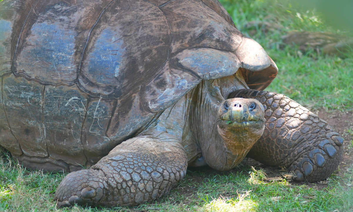 Article Sidebar Image