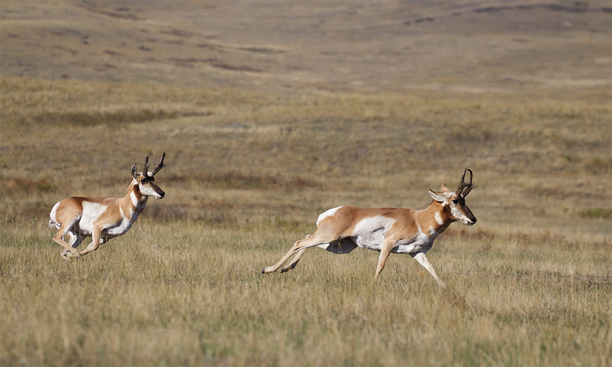 Article Sidebar Image