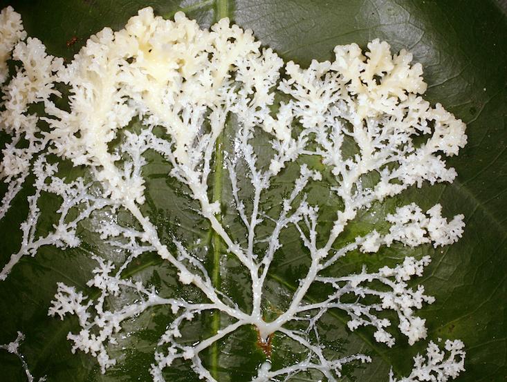 Article Recirculation Lead Image