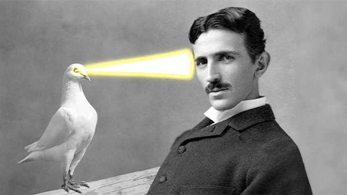 Tesla’s Pigeon
