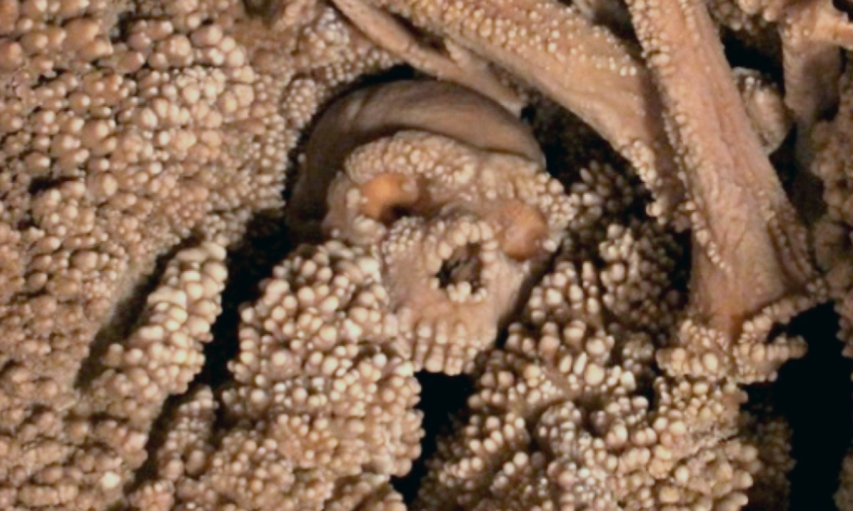 Article Recirculation Lead Image