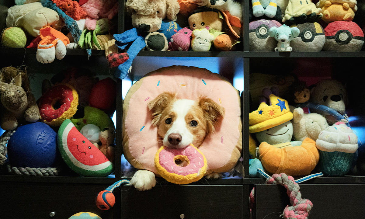 Article Sidebar Image