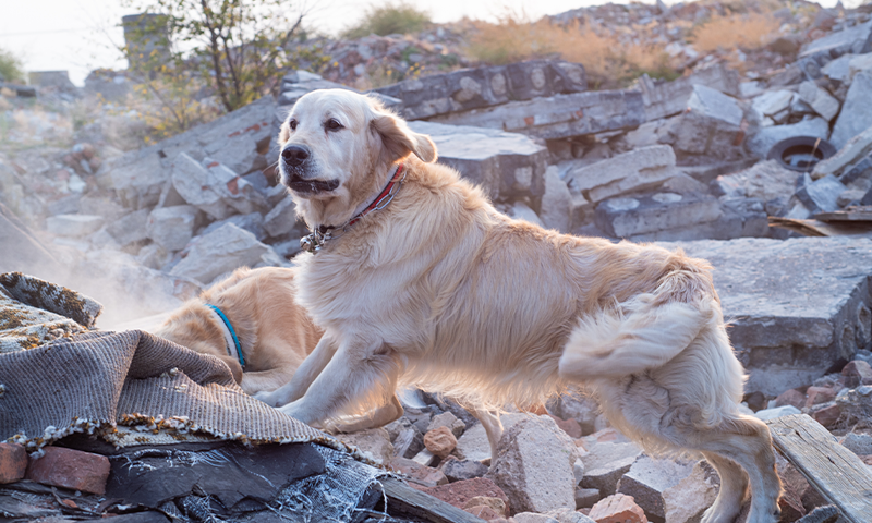 Article Recirculation Lead Image