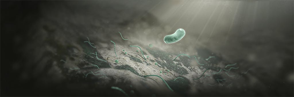 The Bacteria That Revolutionized the World