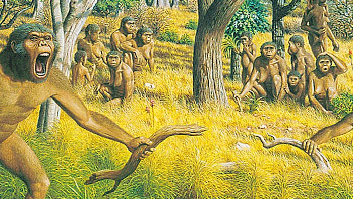 Portrait of the Human as a Young Hominin