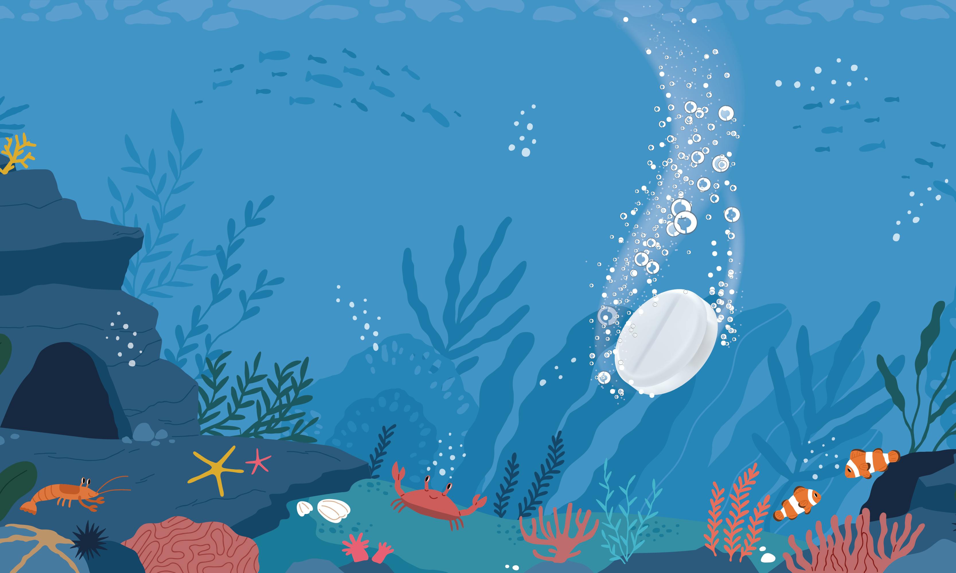 How Seawater Might Soak Up More Carbon - Nautilus