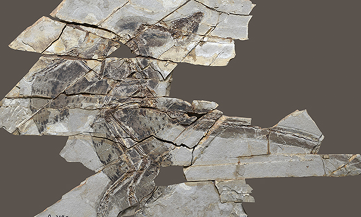 Article Sidebar Image