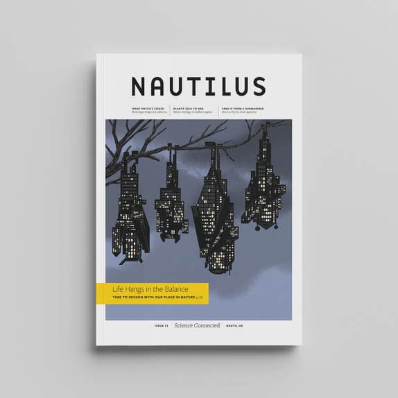 Issue 031