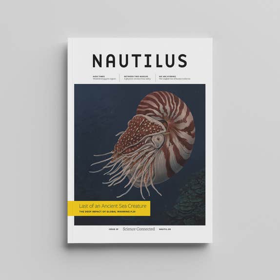 Issue 039