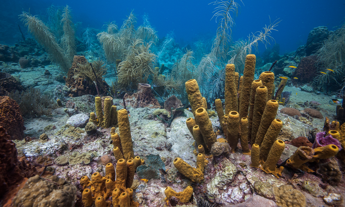 Article Recirculation Lead Image