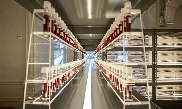 Article Recirculation Lead Image