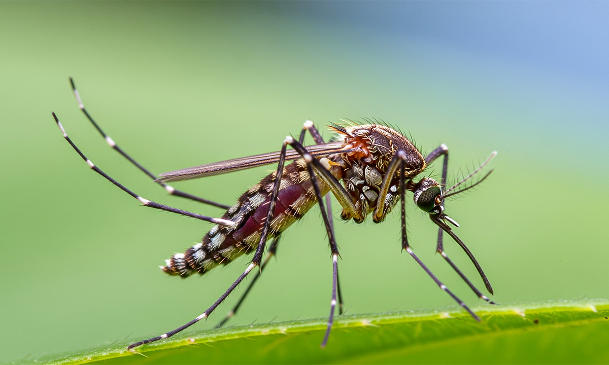 Article Sidebar Image