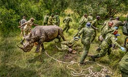 Article Sidebar Image