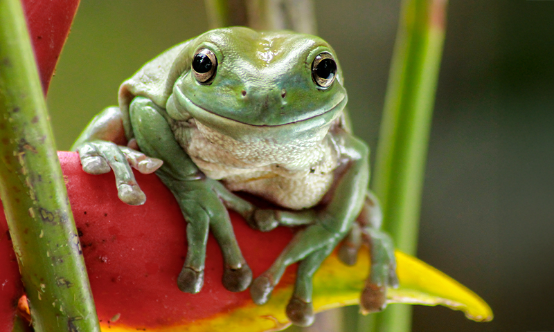 Article Recirculation Lead Image