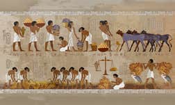 Article Sidebar Image