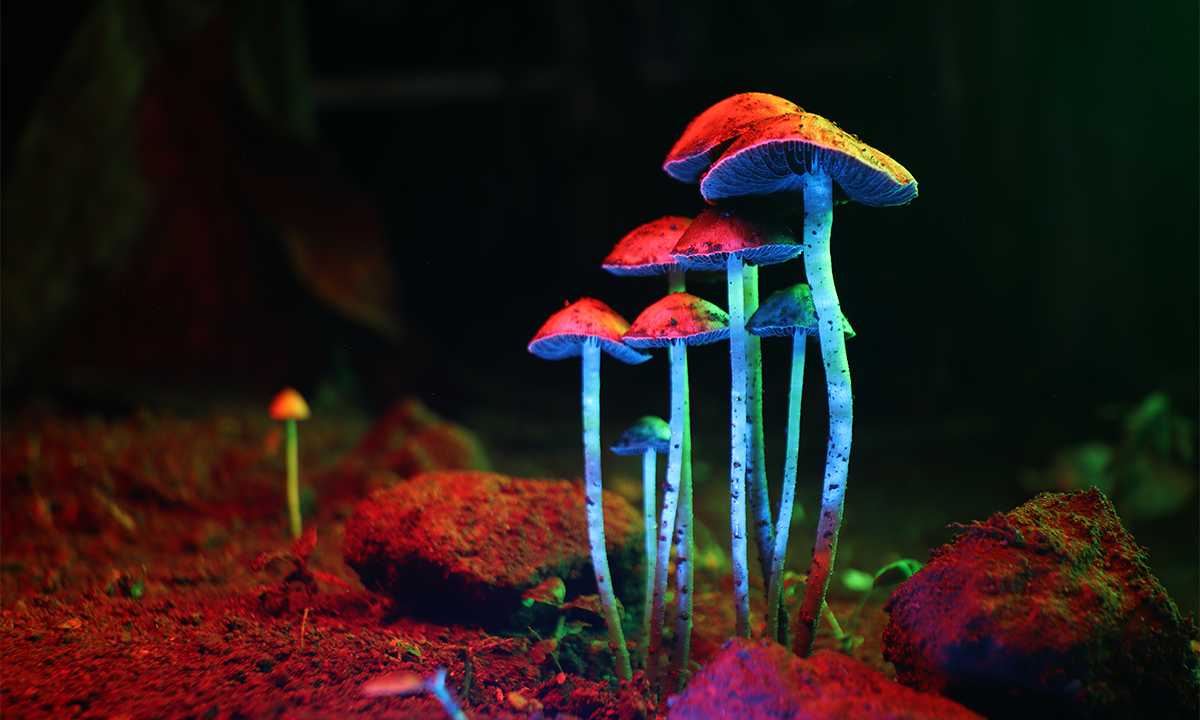 Article Sidebar Image