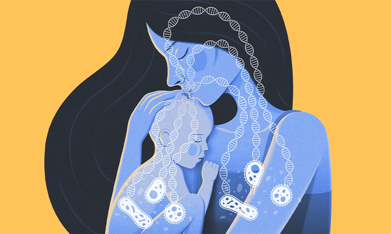 Mobile Genes From the Mother Shape the Baby’s Microbiome - Nautilus