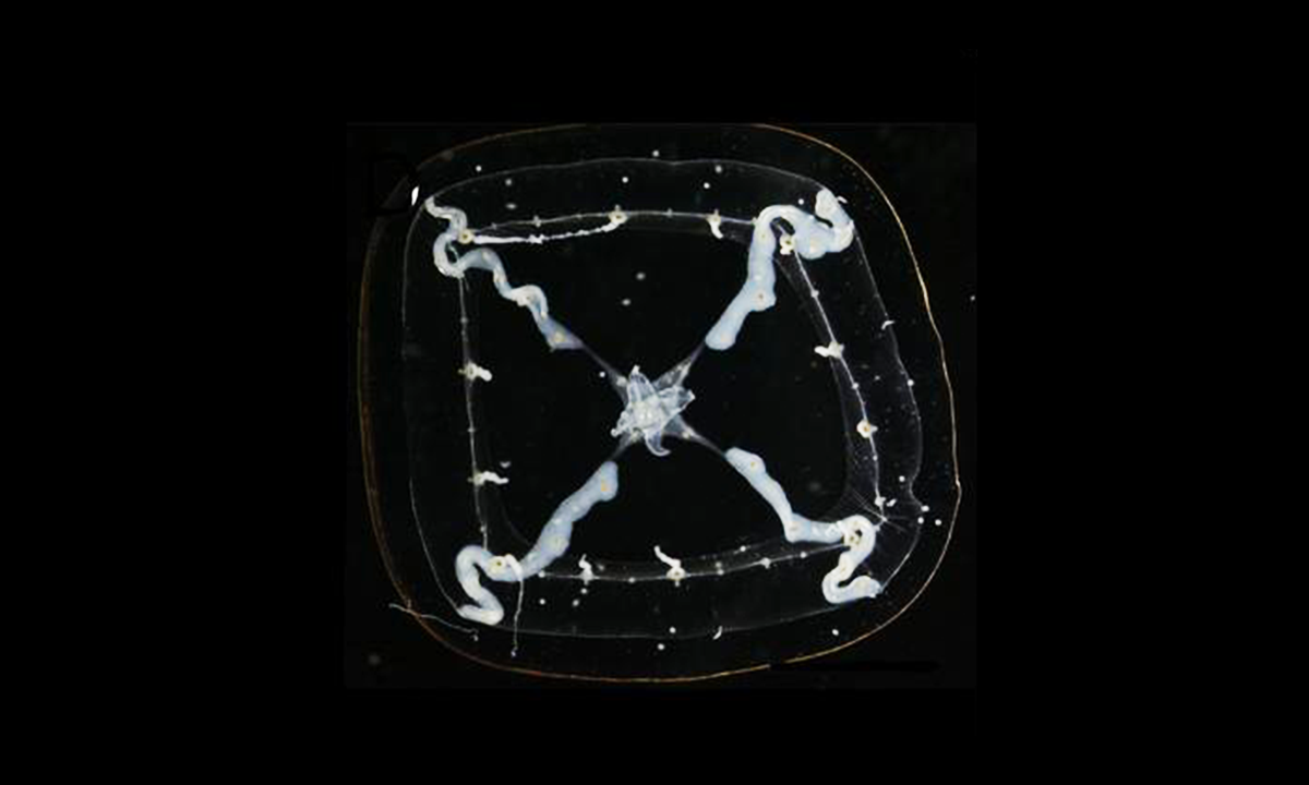 Article Sidebar Image