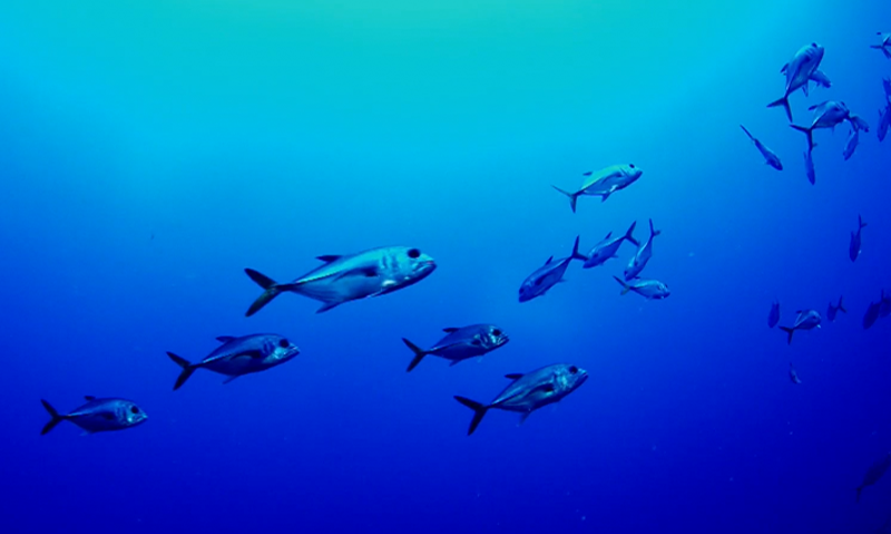 Article Recirculation Lead Image