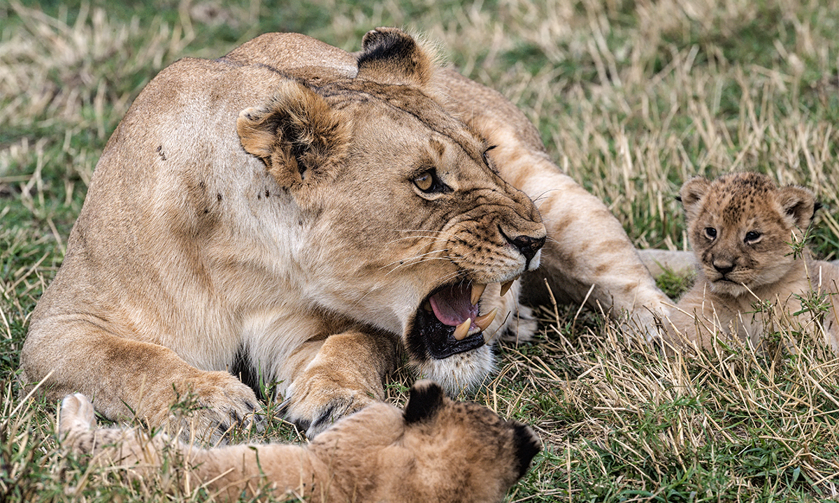 Article Sidebar Image