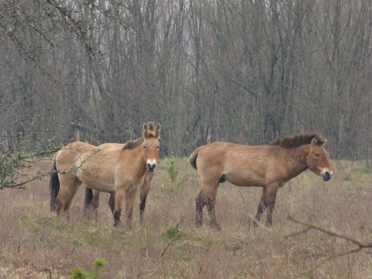 Article Recirculation Lead Image