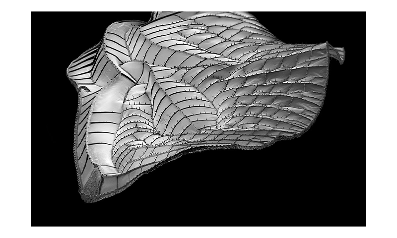 Article Recirculation Lead Image