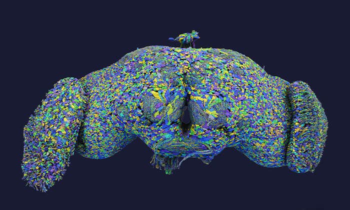 Article Recirculation Lead Image