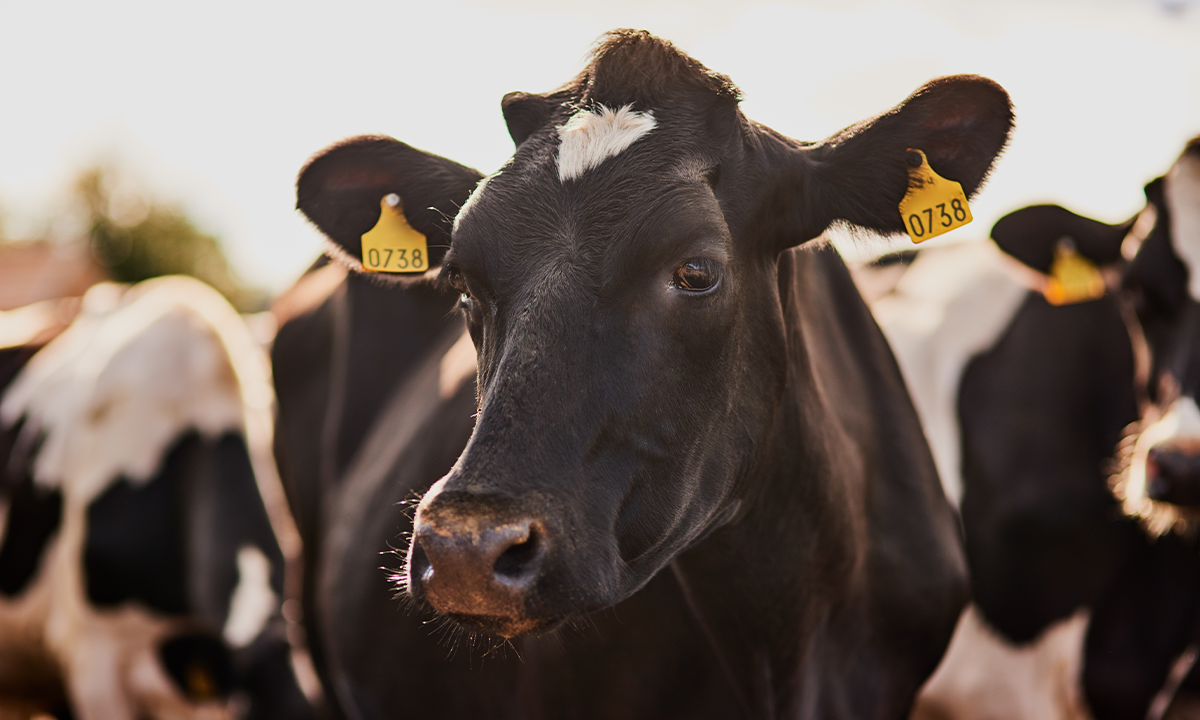 Article Sidebar Image