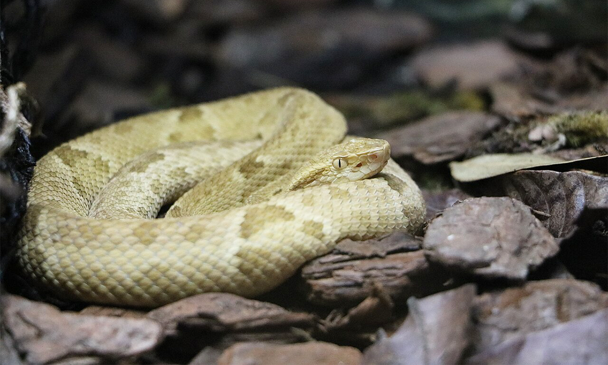 Article Recirculation Lead Image