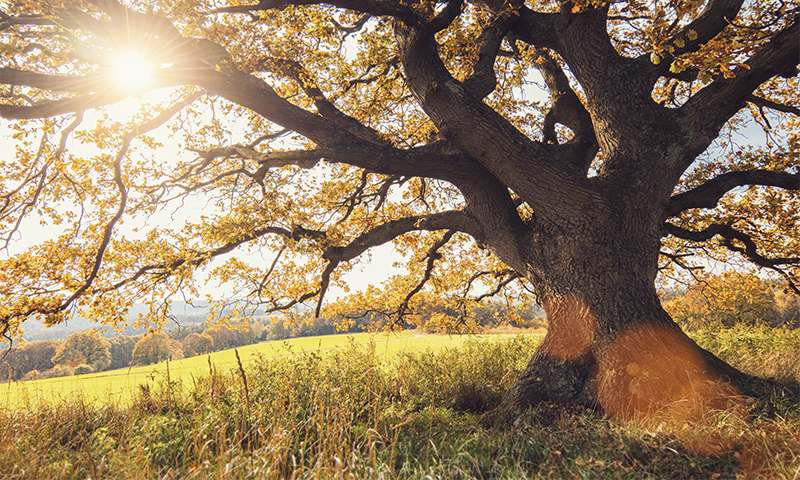 Article Recirculation Lead Image