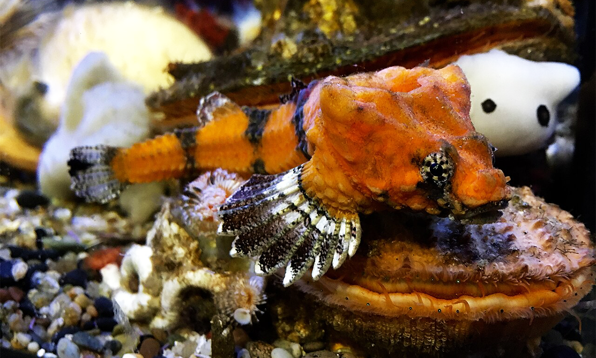 Article Sidebar Image