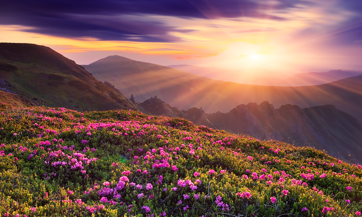 Article Recirculation Lead Image