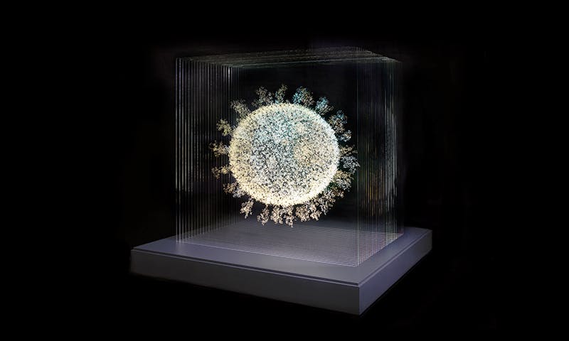 How Artist Angela Palmer Visualized the Coronavirus That Causes COVID-19