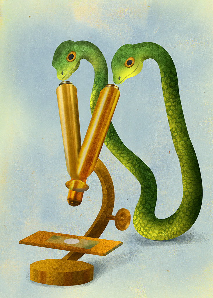 Article Recirculation Lead Image