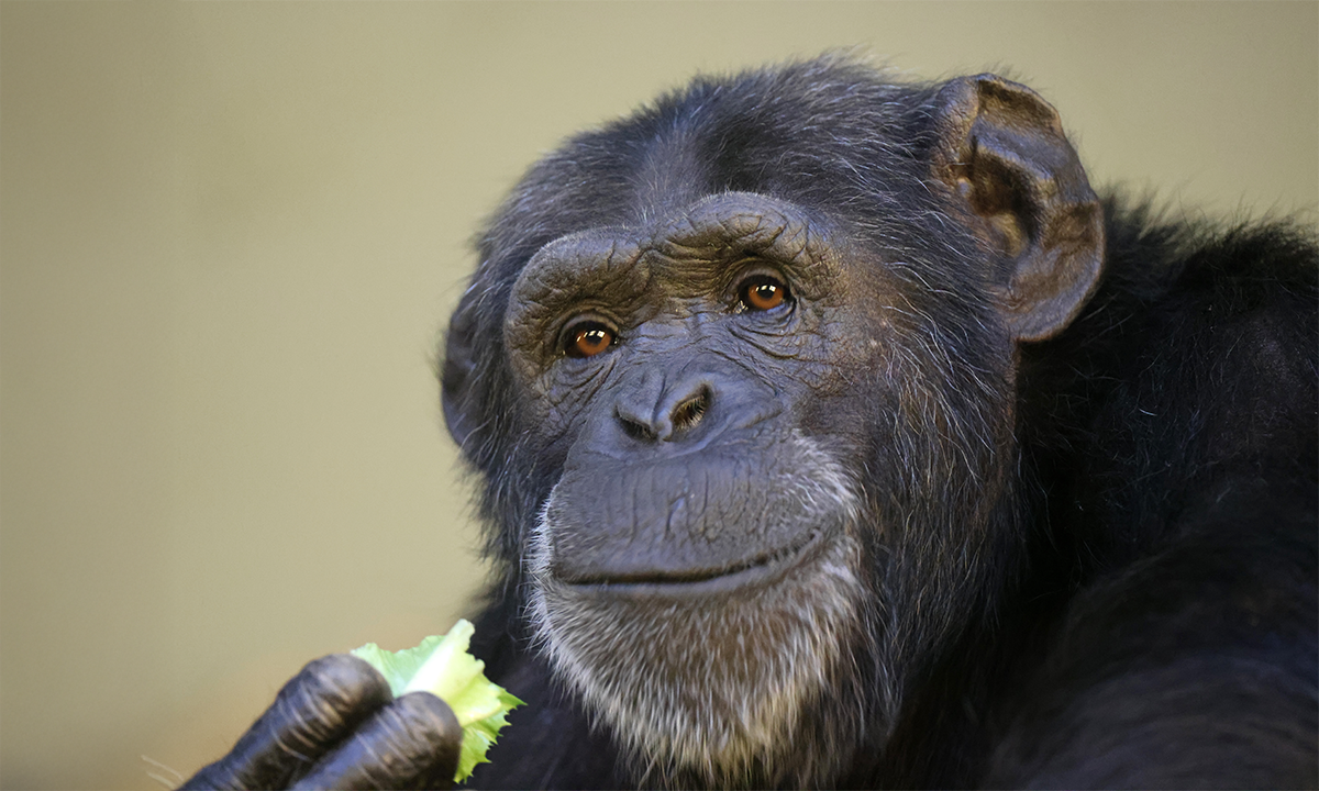 Article Sidebar Image