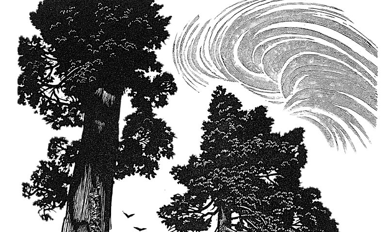 Article Recirculation Lead Image