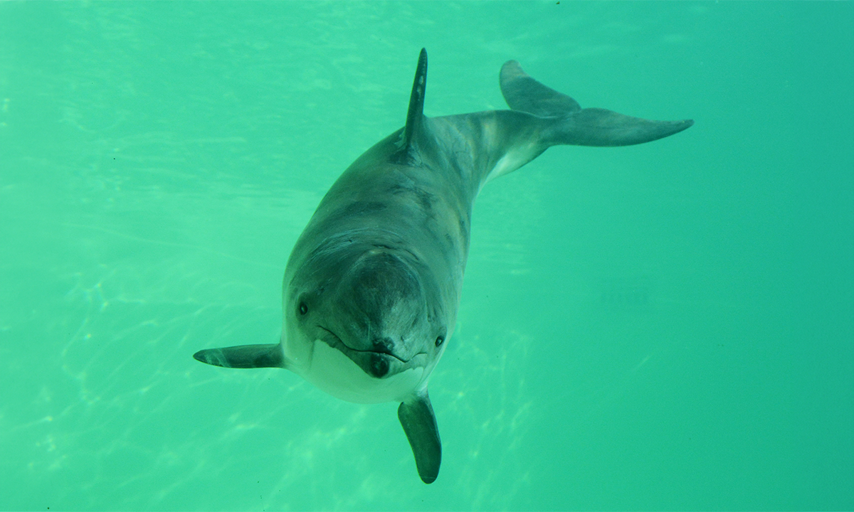 Article Sidebar Image