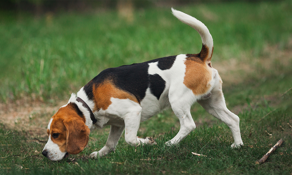 Article Sidebar Image