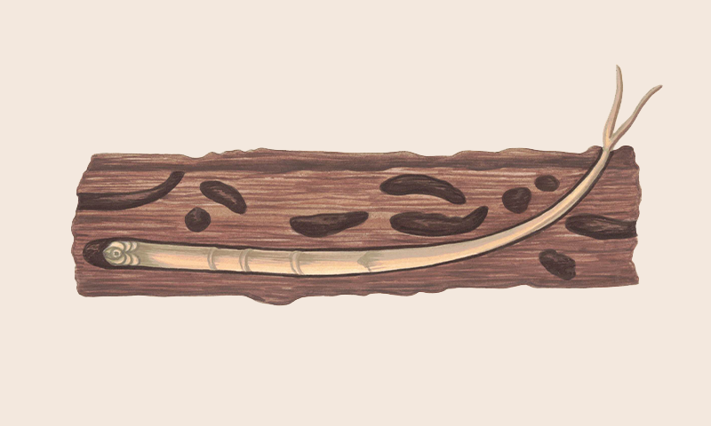 Article Recirculation Lead Image