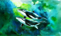 Article Sidebar Image