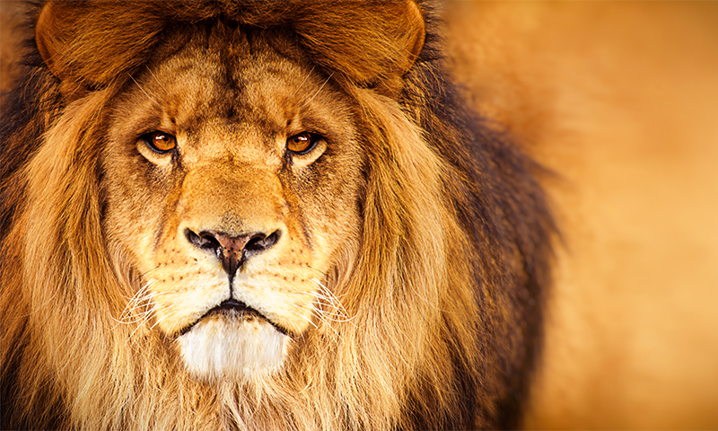 Article Recirculation Lead Image