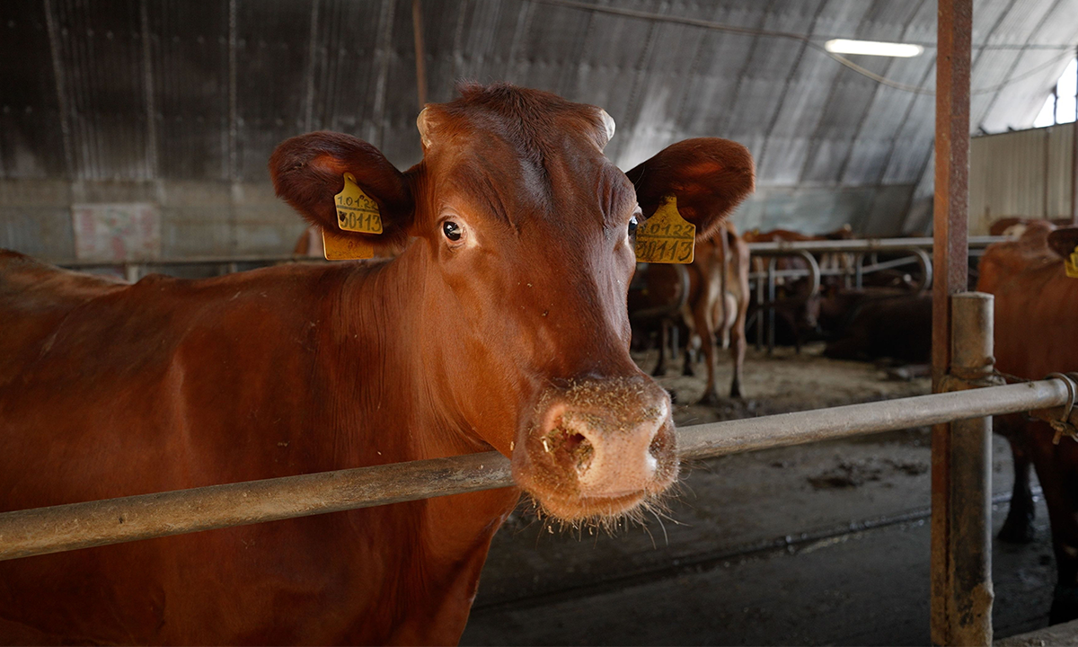 Article Sidebar Image