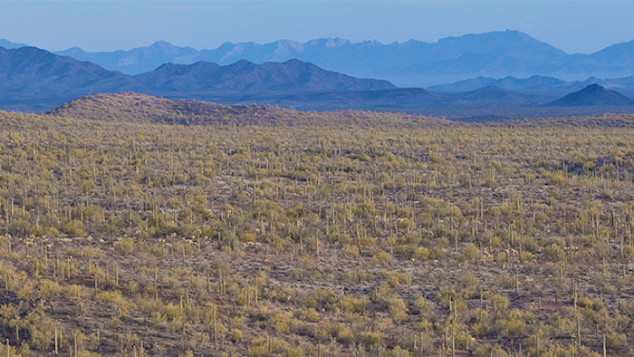 Land of Extremes: Poetry of the Sonoran Desert