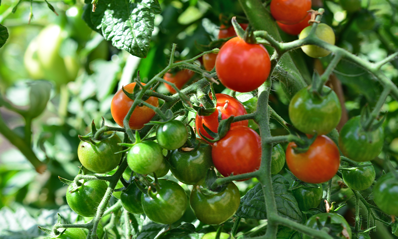 Article Recirculation Lead Image