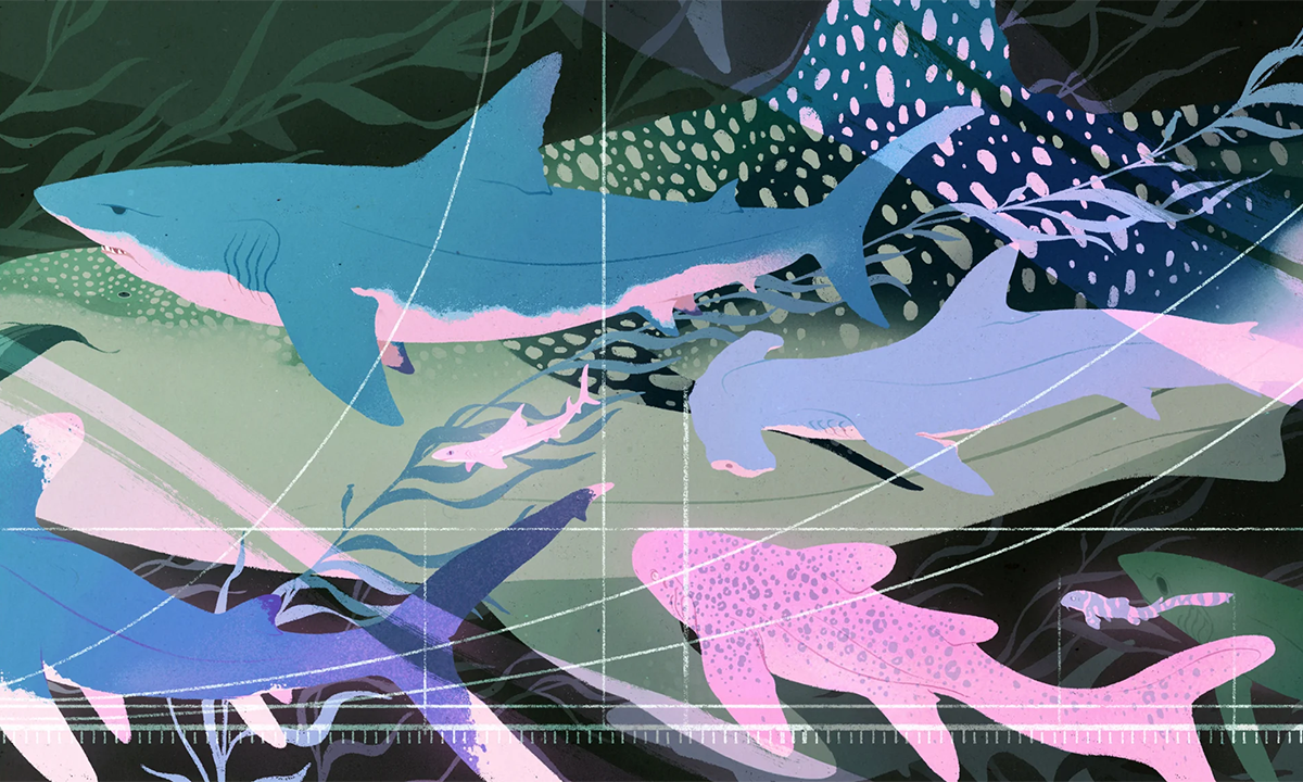 Article Recirculation Lead Image